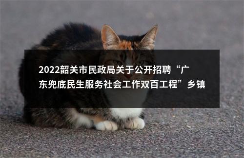 2022韶关市民政局关于公开招聘“广东兜底民生服务社会工作双百工程”乡镇（街道）社会工作服务站社工录用人员名单及有关事项的公告 图片