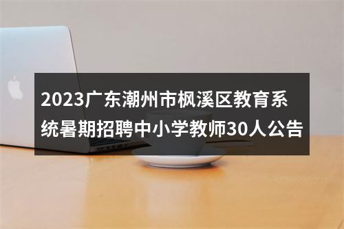2023广东潮州市枫溪区教育系统暑期招聘中小学教师30人公告 图片