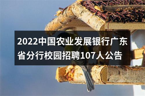 2022中国农业发展银行广东省分行校园招聘107人公告 图片