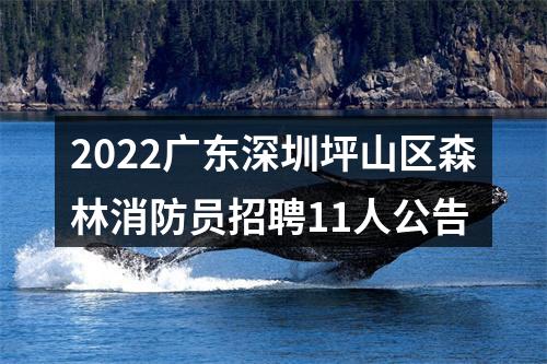 2022广东深圳坪山区森林消防员招聘11人公告 图片